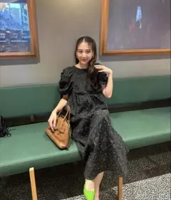 Andresd bubble sleeve jacquard dress