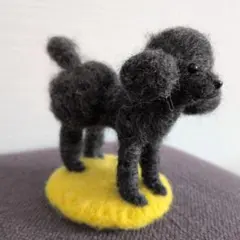 羊毛フェルト トイプードル　おパンツカット　愛犬メモリアル