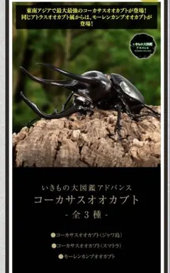 Item thumbnail for item 5b4fd2c1-4188-405a-a080-07998507235a