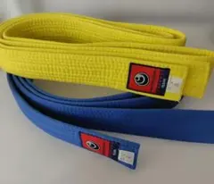 Item thumbnail for item c97c4642-d78e-49f0-a7d9-fa0d26297788