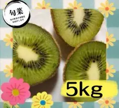 和歌山県産　自然栽培　キウイ 5キロ　硬い目　ハネダシ品　ご家庭用