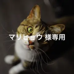 マリヒョウ 様専用カッティングステッカー　TRD 2枚