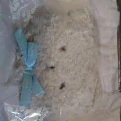 タリーズコーヒー　トートバッグ　クマ　未使用TULLY'S