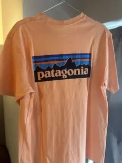 Patagonia バックロゴ ポケットTシャツ ピンク S パタゴニア