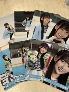 Item thumbnail for item e57f96b9-6b4e-40f9-b33f-24feff6a8d42