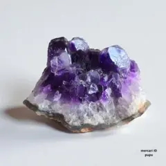 Item thumbnail for item d68d91d2-89ff-47f6-9330-ccb62c02893e