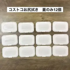 커크랜드 물티슈 뚜껑 코스트코 물티슈 12개입