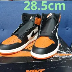 AIR JORDAN 1 RETRO HIGH OG　28.5cm