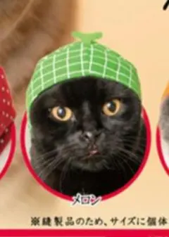 かわいいかわいいねこフルーツちゃん メロン 被り物 かぶりもの