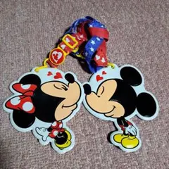 東京ディズニーリゾート パスケース ペア セット ミッキー ミニー