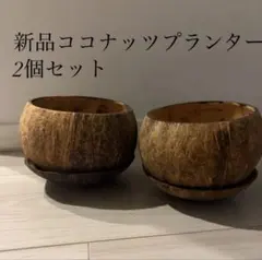 新品　2点　ココナッツ　ボウル　プランター　植木鉢のサムネイル