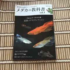 Item thumbnail for item 2bdc73c0-5ffa-4647-bcab-199e42f36021