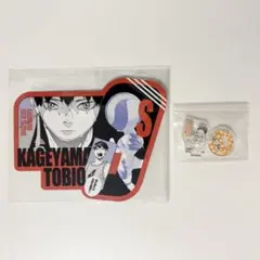 ハイキュー!! 影山飛雄 ファンパーク アクリルminiフィギュア カットカード