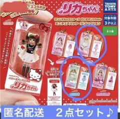 サンリオキャラクターズだいすきリカちゃんミニチュアパッケージコレクション　２点♪