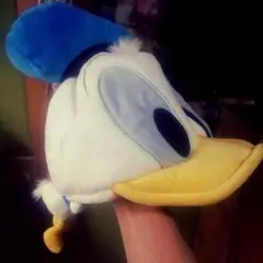 ドナルドダック(かぶりもの)