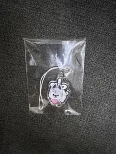 Stray Kids スキズ ペンミ キーホルダー バンチャン ウルフチャン