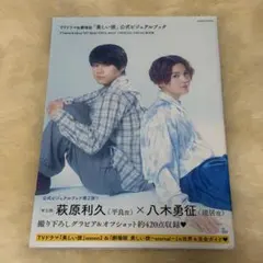 TVドラマ&劇場版 美しい彼 公式 ビジュアルブック