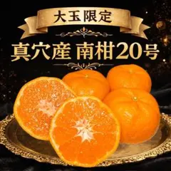 2026年最新】真 穴 の みかんの人気アイテム - メルカリ