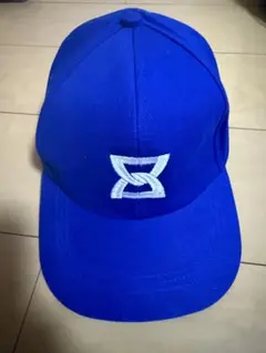 アセアン トレイルチャレンジ【カメ キーリング+ピンバッジ 】万博非売品 新品 非売品 】 レア！大阪関西万博 ASEAN ピンバッジ 限定 パビリオンかめ