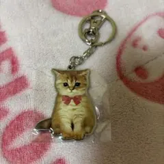 PAUL&JOE ポール&ジョー 猫 キーホルダー キーリング 新品未使用