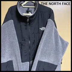 【美品】THE NORTH FACE デナリ　フリース　USA規格