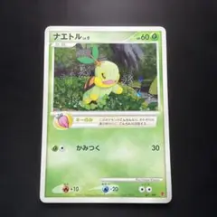 ★ 포켓몬 カード★ナエトル プレイヤーズプロモ 001/PPP