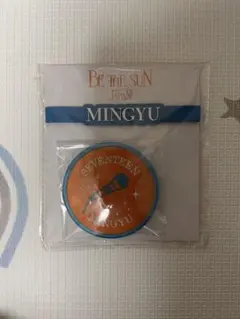 BE THE SUN MINGYU デコリング　seventeen
