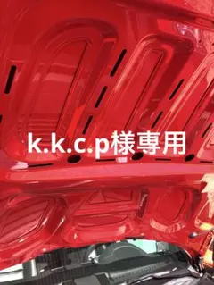 k.k.c.p様専用