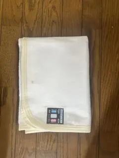 Item thumbnail for item 4e4d2b5c-47f3-4ede-b072-ad6a8e71a6b7