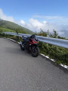 2026年最新】zx25r 車体の人気アイテム - メルカリ