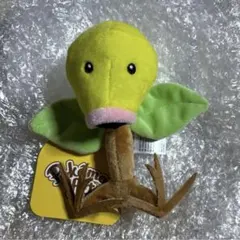 マダツボミ ポケモン fit ②