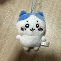 ちいかわ ハチワレ リボン 付