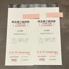 U.S.M.Holdings マルエツ株主優待券 6,000円分のサムネイル