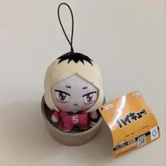 ハイキュー 孤爪研磨 ちょぴぬいぷち