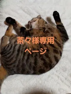 茶々様専用ページです