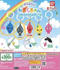 ぷるるんっ!しずくちゃん アクセサリー2