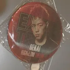 世界 チェンジング缶バッチ