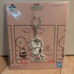 一番くじ PEANUTS コラバーチャーム サリー