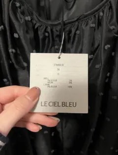 Item thumbnail for item ba5319ba-861d-489d-87cc-75acf7bba319