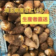 岐阜県産 自然栽培 里芋の苗、ランダム、不揃い 1セット４本、メルカリ便 里芋 1㎏ 今日 発送 かわいい 小さめ 愛媛県産 い - メルカリ
