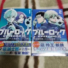 Item thumbnail for item 90f5ea0e-9c0e-409e-ad0d-6b656d02a5f6