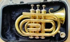 2026年最新】jupiter jpt-416の人気アイテム - メルカリ