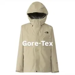 THE NORTH FACE ゴアテックス マウンテンパーカー