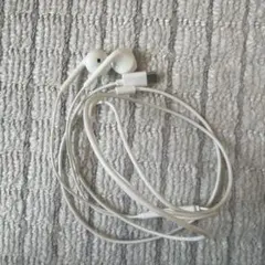 ホワイト 有線イヤホン USB接続 Type-C