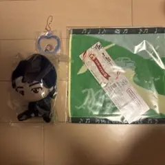 ☆*☆様 ミセスグリーンアップル 一番くじ A賞 E賞若井滉斗 Ｇ賞 タオル