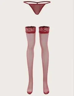 レース付き赤ストッキングとTバックセット