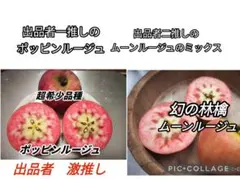 2026年最新】#赤肉りんごの人気アイテム - メルカリ