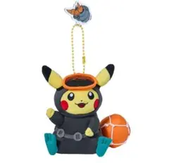 ピカチュウ　メス　チェジュ限定　ポケモンストア　カプセルアイランド　ぬいぐるみ