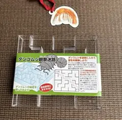 セリア ダンゴムシ観察迷路 自由研究キット 知育のサムネイル