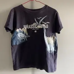 UNIQLO Tシャツ 120